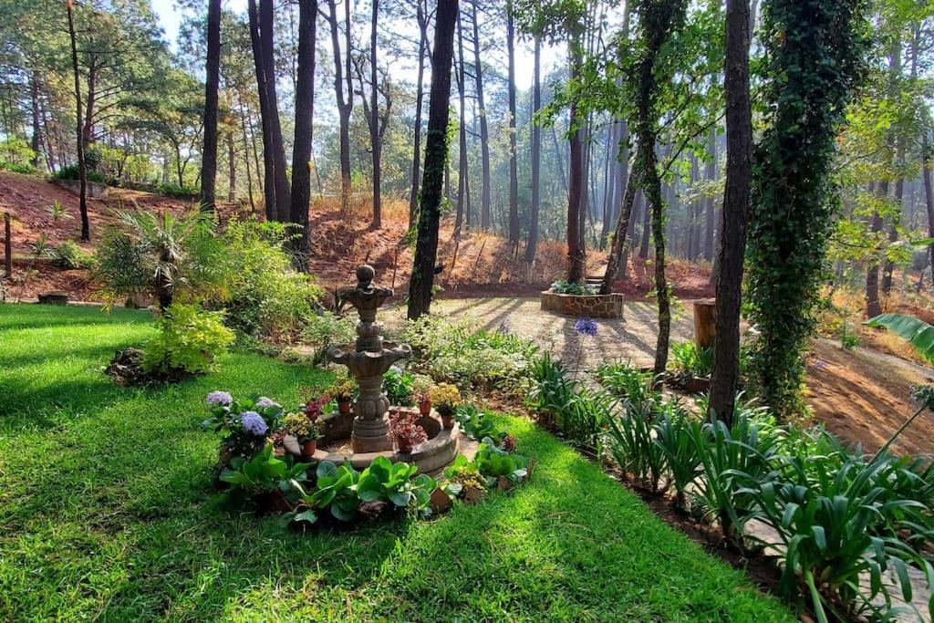 Cabana Rustica A 1Km De Cascada Mazamitla Dış mekan fotoğraf